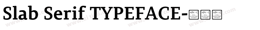 Slab Serif TYPEFACE字体转换 Slab Serif TYPEFACE字体转换